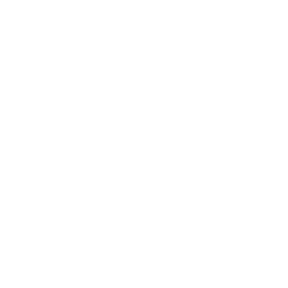 Soulfully Stitched